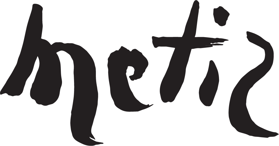 Metiz Logo HM5d vector
